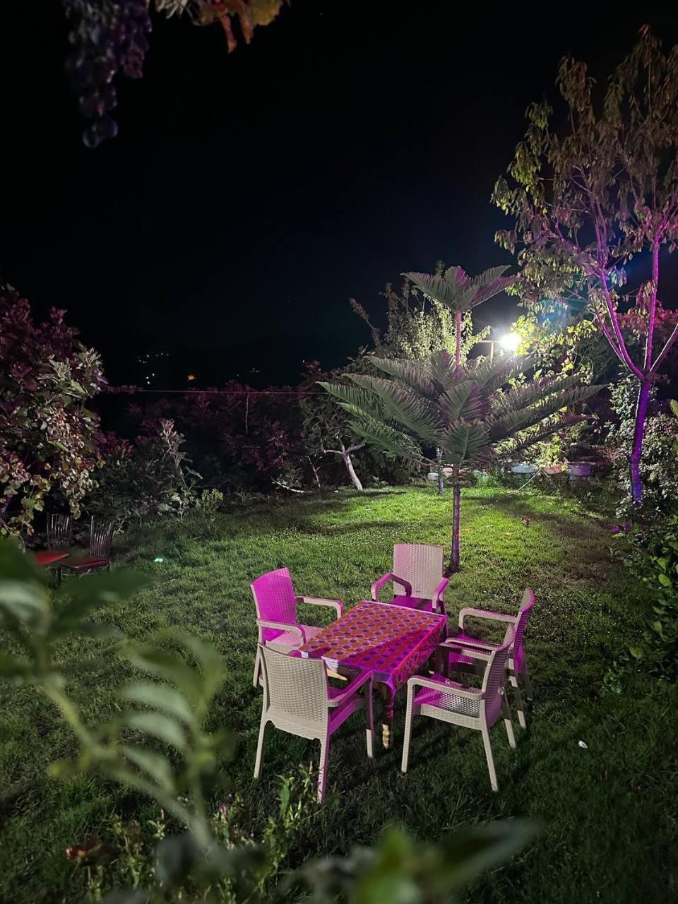 Bab Tazza Dar La Ziza B&B 외부 사진